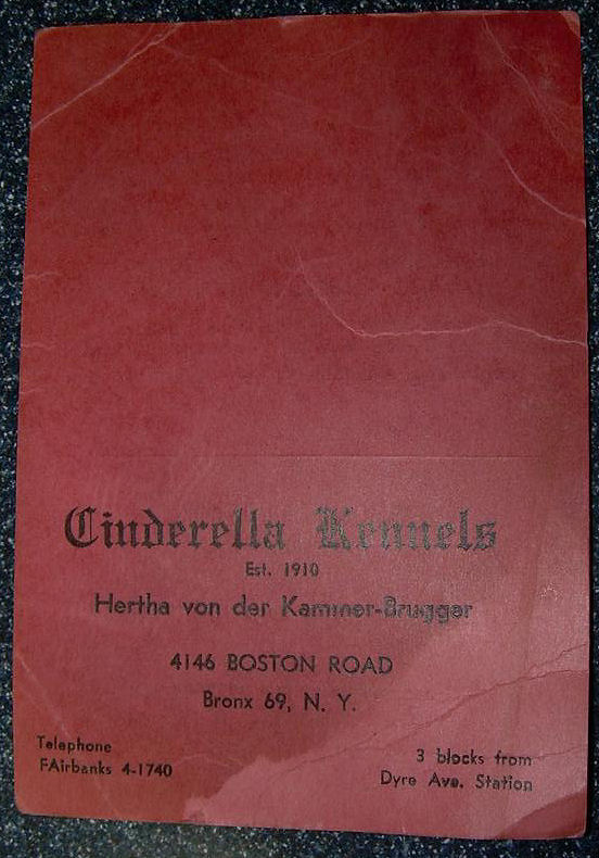 Cinderella Business card