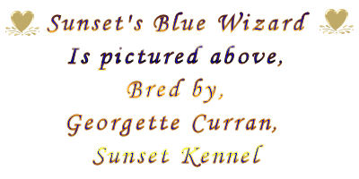 MinPinsNBlue Text Wizard banner